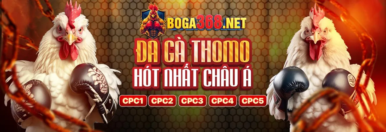 Diễn đàn cộng đồng đá gà trực tiếp Campuchia bình luận viên